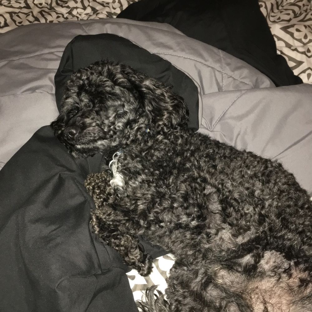 Meet your Posher, Tuxedohanger